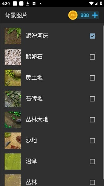 鱼池动态壁纸软件