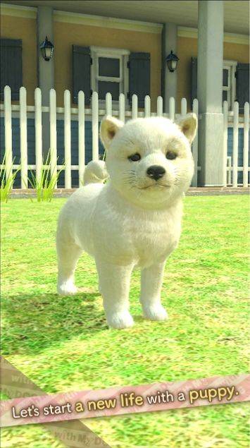 与狗同行(withMyDOG)