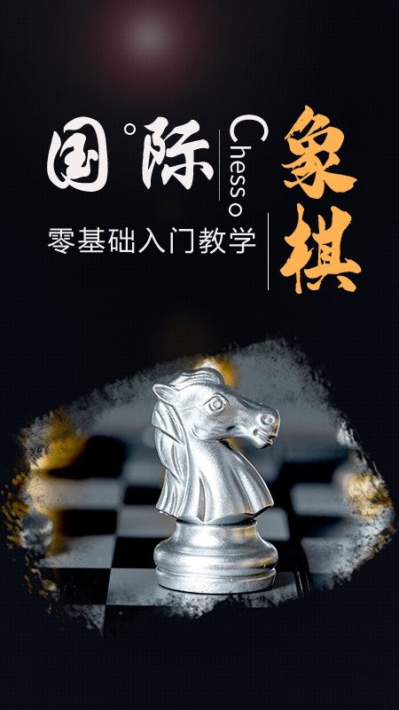 国际象棋大师11