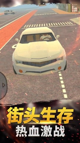 小镇生存家