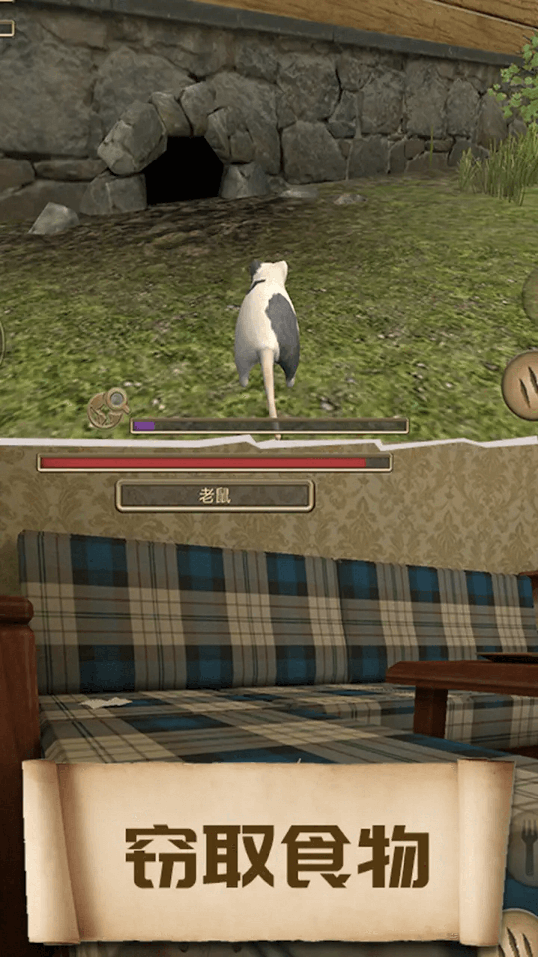 美食和老鼠 美食和老鼠