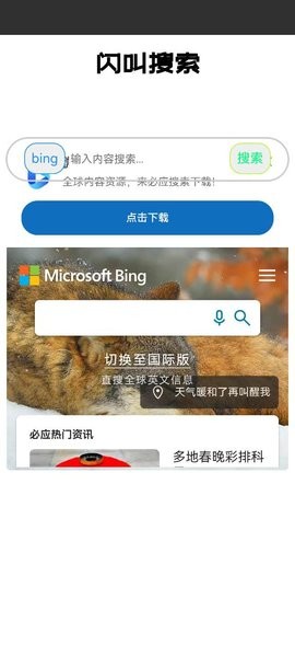 闪叫搜索