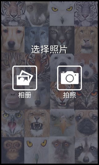 变脸相机软件
