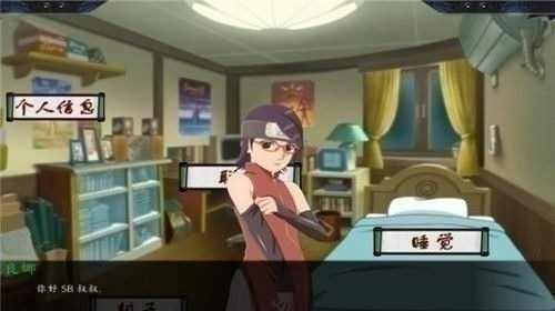 女忍最后的战争最新直装版