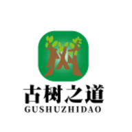 古树之道