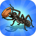 蚂蚁指挥官