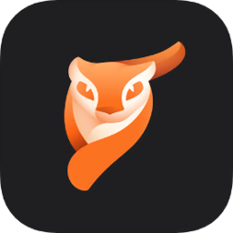 enlight pixaloop软件
