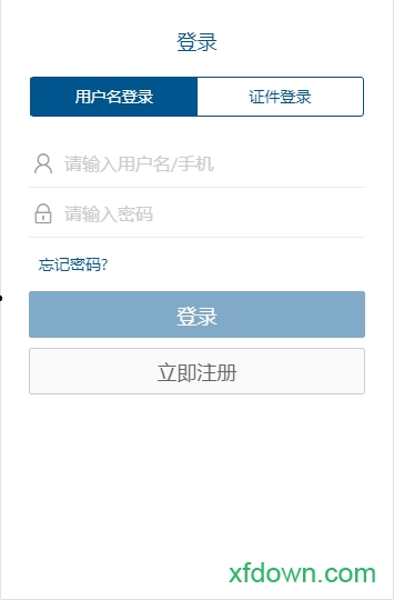 自然人电子税务局