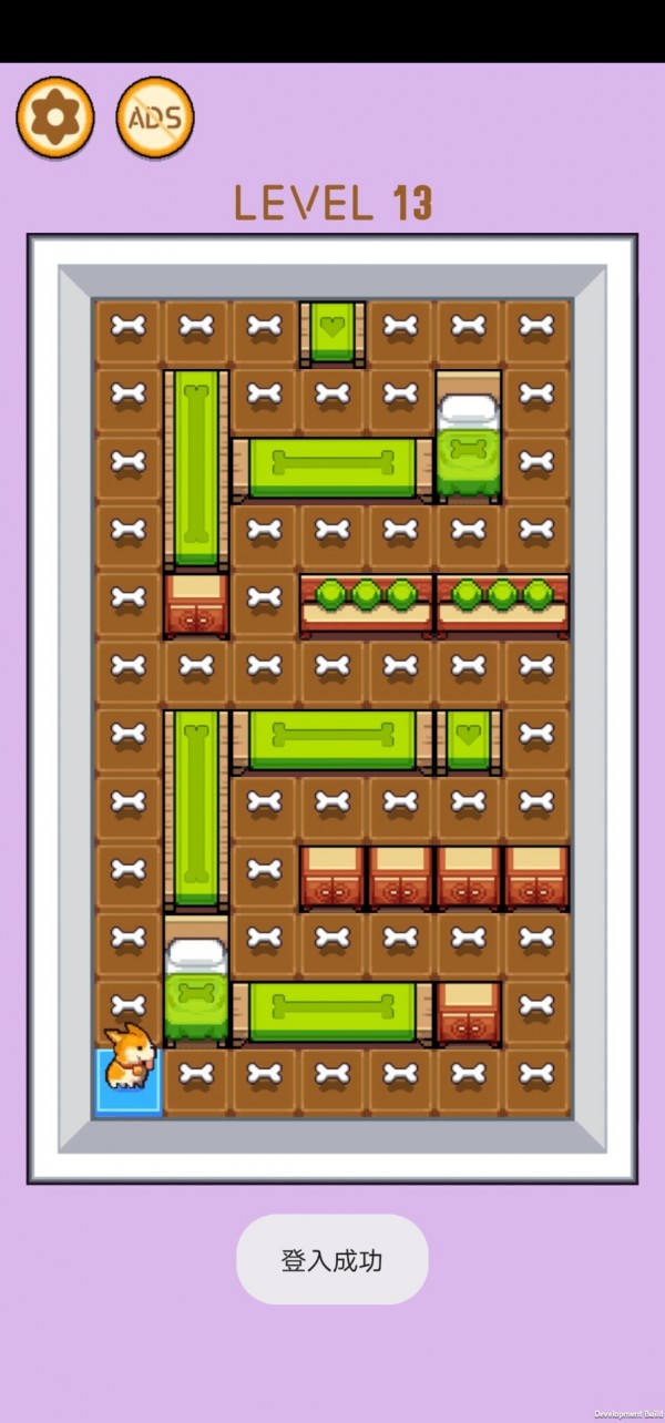 柯基快跑 柯基快跑