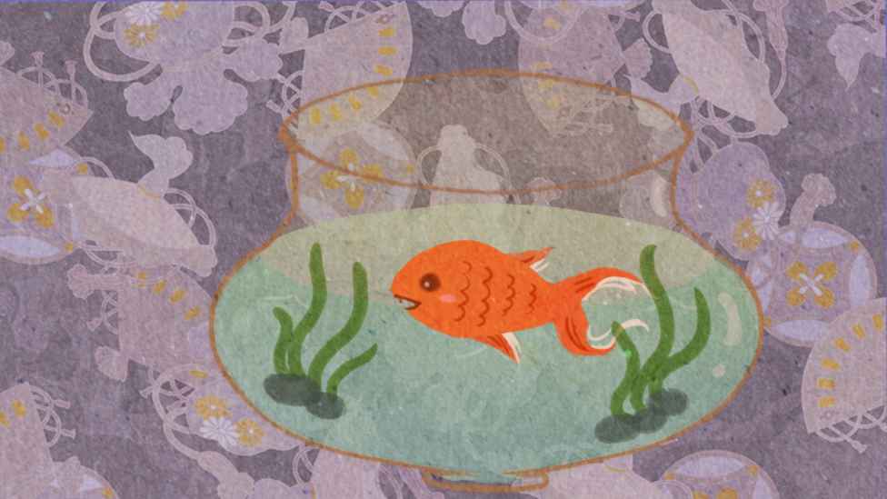 yuuufeedingplan(鱼悠悠养成计划) yuuufeedingplan(鱼悠悠养成计划)