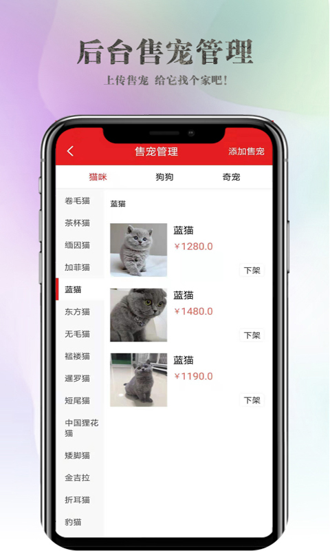 跟脚网-本地商家