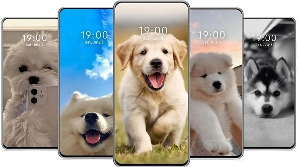 cutedogwallpaper可爱的狗壁纸