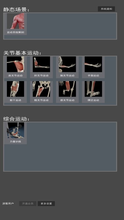 3D运动解剖