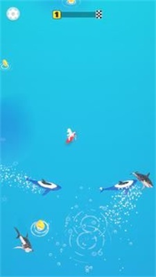 冲浪猎人Surfing Hunter 冲浪猎人Surfing Hunter