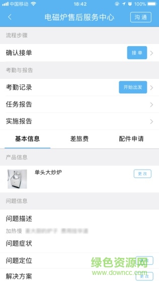闪电豹