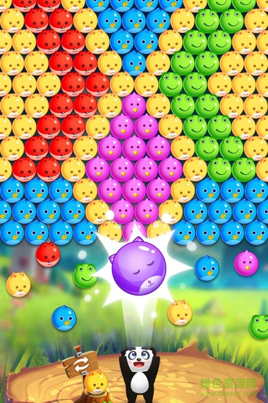 宠物泡泡龙 宠物泡泡龙