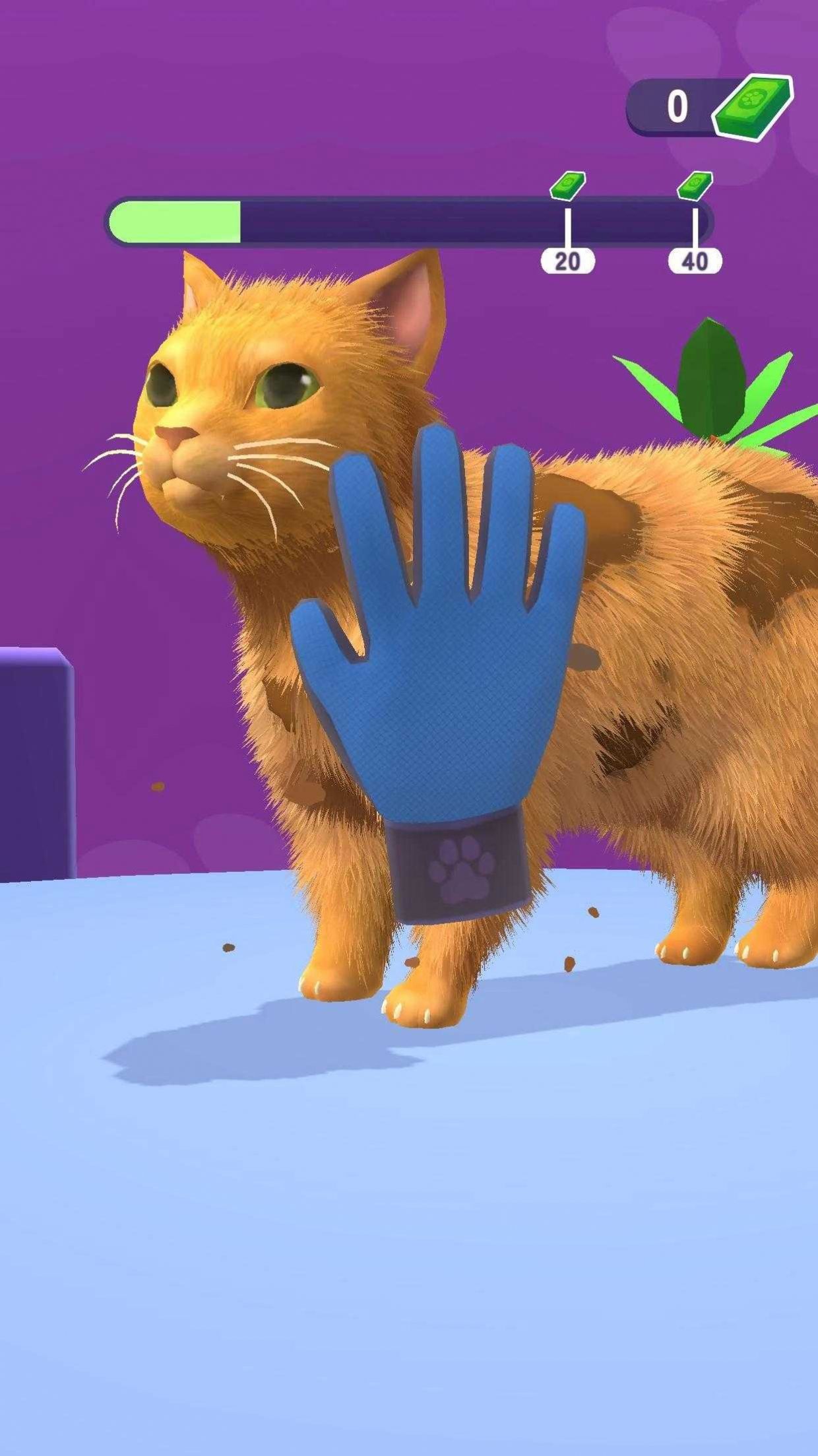 宠物美容理发店(Pet Groomer Animal Barbershop)