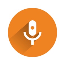 实时变声器大师