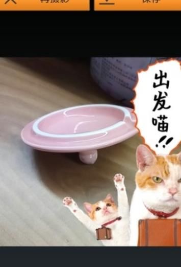 萌喵相机