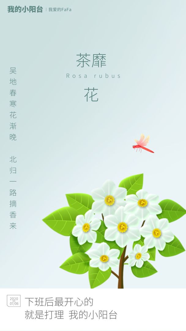 我的小阳台