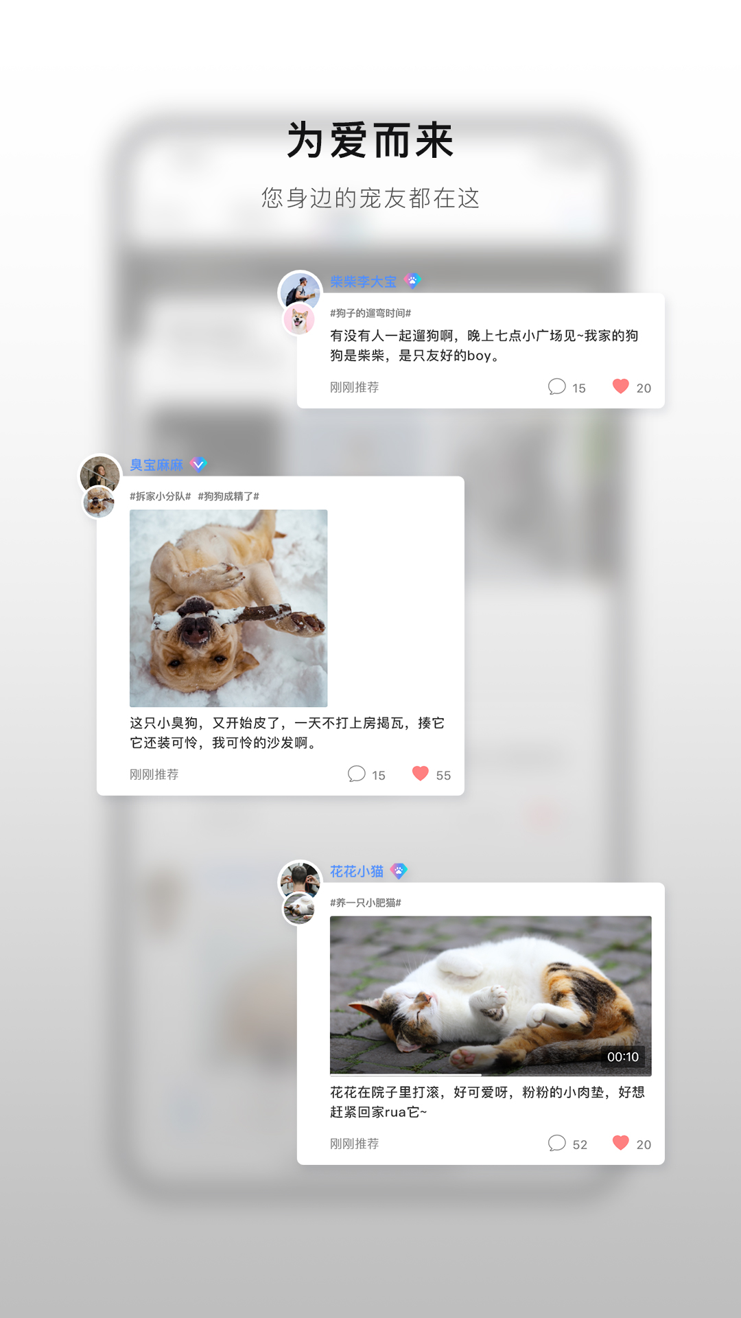 小它商家