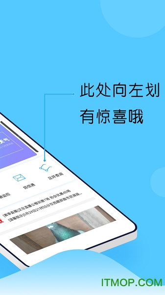 中鸽网