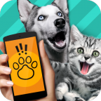 pettranslator官方正版