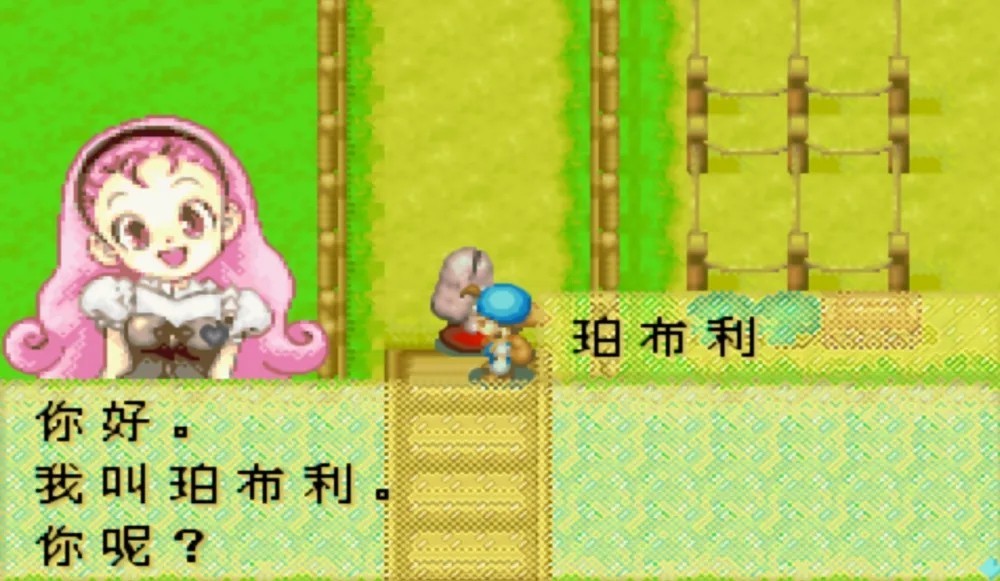 牧场物语风之集市安装器