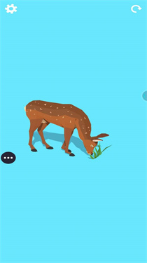 丛林训练家 丛林训练家