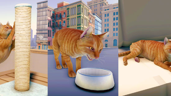 猫咪历险记：大都市