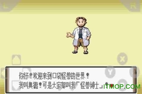 口袋妖怪究极绿宝石6.5