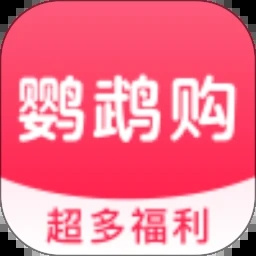 鹦鹉购