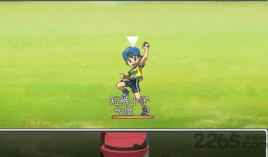 口袋人类