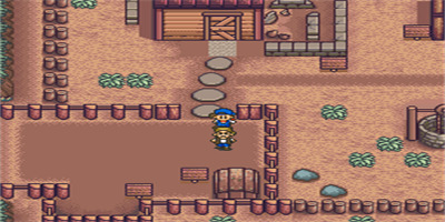 牧场物语：矿石镇的伙伴们