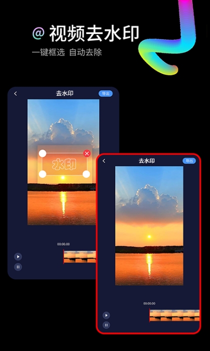视频去水印大师