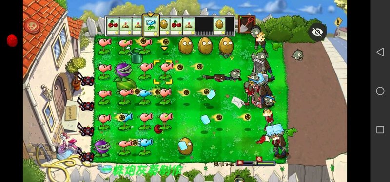 PVZ小葵花