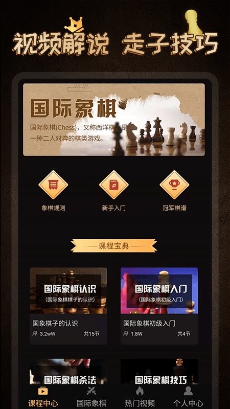 国际象棋大师11