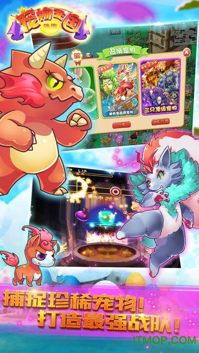 宠物王国4白金内购版