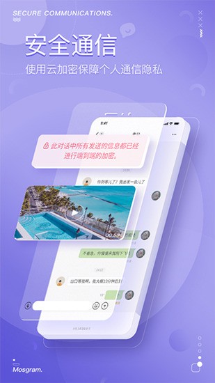 密聊猫