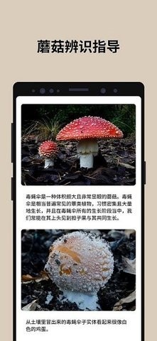 蘑菇识别扫一扫PictureThis最新版
