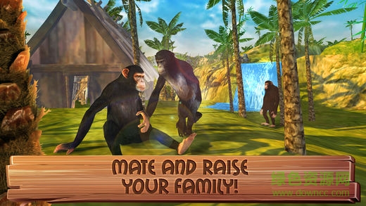 JungleSim