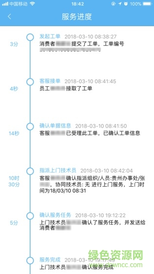 闪电豹