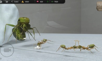 蚂蚁模拟大亨单机版