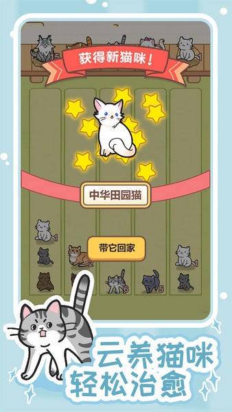 解压猫咪