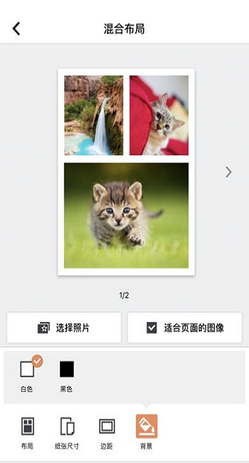 selphy photo layout证件照