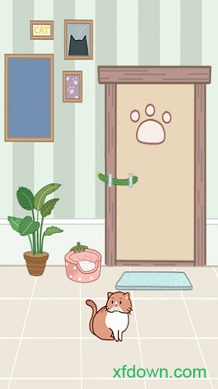 疯狂藏猫猫大作战 疯狂藏猫猫大作战