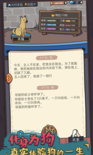 狗生模拟器无限钻石体力版