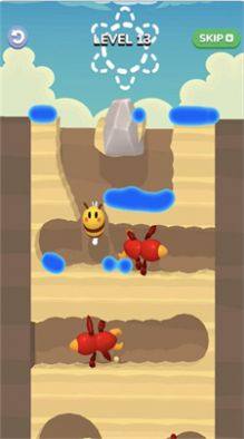 蜜蜂探险 蜜蜂探险