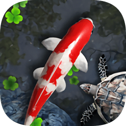 鱼池动态壁纸软件