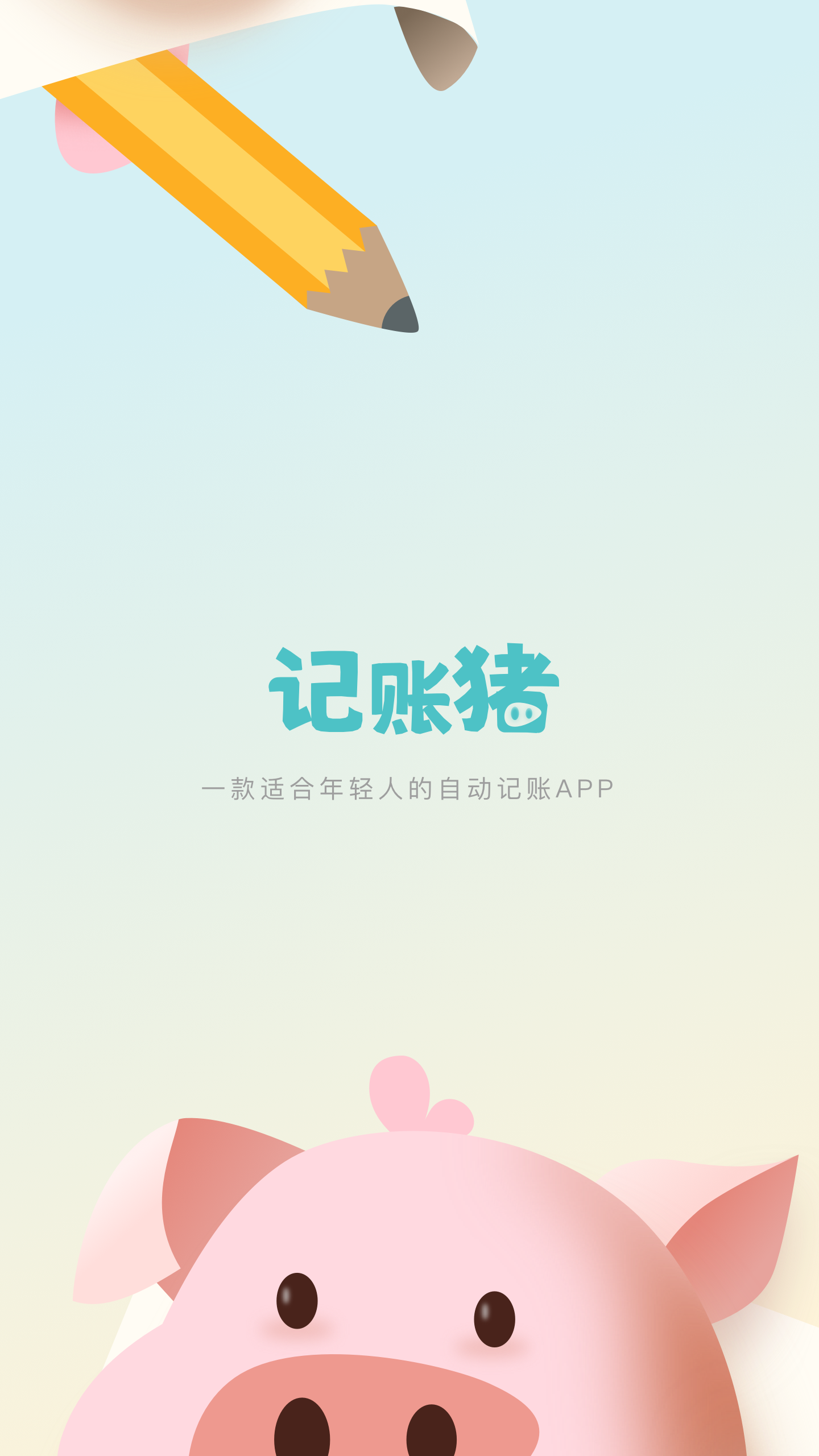 记账猪